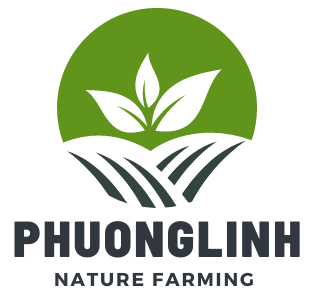 Xuất nhập khẩu và thương mại Phương Linh